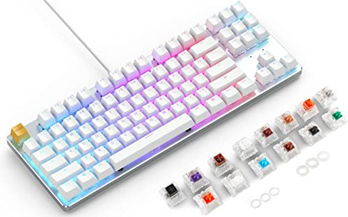 (Keyboard + Switch) Glorious GMMK Modular Mechanical Gaming Keyboard - TENKEYLESS (87 Key) + Glorious PC Gaming Race Keyboard Switch Sample Pack (Bundle)
