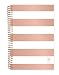 bloom daily planners 2019 Calendar Year Day Planner - Passion/Goal Organizer - Monthly and Weekly Dated Agenda Book - (January 2019 - December 2019) - 6" x 8.25" - Rose Gold Stripes