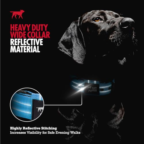 Image of Tuff Pupper Heavy Duty Tactical Dog Collar | 1.5 inch Wide Ballistic Nylon | Reflective Stitching | Integrated ID Tag Holder | Stainless Steel Buckle | Padded Lining | Medium & Large Dogs (Teal, Medium)