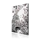 decomonkey Bilder Eiffelturm 60x90 cm 1 Teilig 
