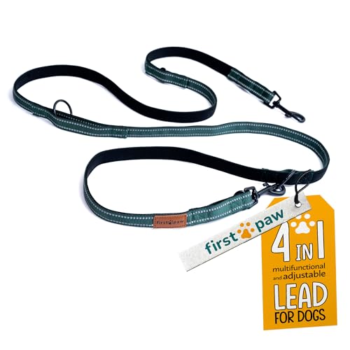 FIRSTPAW Hondenriem, 2 m, robuust, comfortabel, multifunctioneel en verstelbaar, dubbele riem voor 2 honden, handsfree hondenriem voor kleine, middelgrote en grote honden, groen