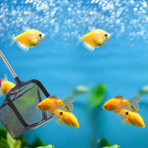 Image of Fish Net for Fish Tank, 2 Pcs 3 Inch Aquarium Fish Net Fine Mesh Small Fish Net Square Round Nano Nylon Net with Extendable Stainless Steel Handle for Small Fish Tank Aquarium Accessories