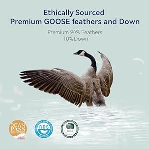 Goose Feather Down Pillows Queen Size Set of 2 - Luxury Soft Feather Down Pillow for Sleeping - Hotel Quality Bed Pillows - Wrapped in Polyester (Solid White, 20x30 Inches) Goose Feather Down Pillows Queen Size Set of 2 Luxury Soft Feather Down Pillow for Sleeping Hotel Quality Bed Pillows Wrapped in Polyester Solid White 20×30 Inches