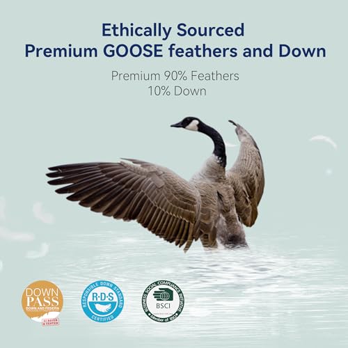 Goose-Feather-Down-Pillows-Queen-Size-Set-of-2-Luxury-Soft-Feather-Down-Pillow-for-Sleeping-Hotel-Quality-Bed-Pillows-Wrapped-in-Polyester-Solid-White-20×30-Inches Goose Feather Down Pillows Queen Size Set of 2 Luxury Soft Feather Down Pillow for Sleeping Hotel Quality Bed Pillows Wrapped in Polyester Solid White 20×30 Inches