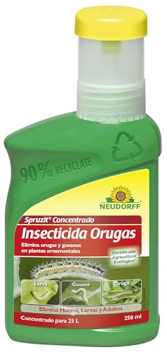 Neudorff Spruzit Concentrado Insecticida Orugas – Elimina plagas como orugas y gusanos en plantas ornamentales. Elimina Huevos, Larvas y Adultos, 250 ml