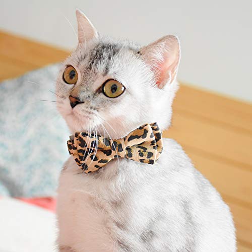 Image of Pipidog Cat Collar Breakaway with Bell and Accessories, Leopard Kitten Collar Bowtie for Kitty 20 Colors Adjustable 7.5-11in (Leopard)