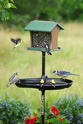 Seed Catcher Tray (Seed Buster) for Wild Bird Feeders, fits only 1-INCH STRAIGHT BIRDING pole (outside diameter), pole and feeder NOT included Seed Catcher Tray (Seed Buster) for Wild Bird Feeders, fits only 1-INCH STRAIGHT BIRDING pole (outside diameter), pole and feeder NOT included