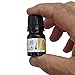 Duncan Overglazes - OG 801 - Bright Gold - 2 Gram Bottle
