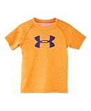 Under Armour Little Boys' Big Logo Favella Print Tee