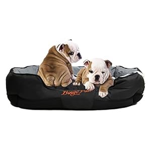 BingoPaw Cama Perro Mediano Antiestres,Colchon Perro Viscoelastico XL 105 x 80 x 22cm colchoneta de Perro desenfundable Cuna Perro Lavable con Cojin Extraible Impermeable Suave para Gatos Mascotas
