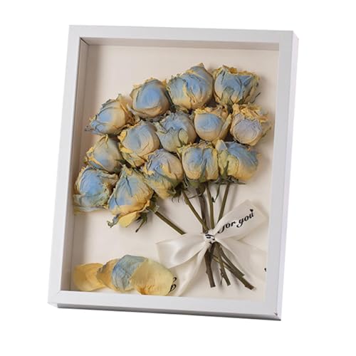 tHgt[ z X^h^Cv 8in A[gtHgt[ hCt[ W{ ` ؖڒ a j j  蕨 pr