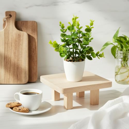 Image of KARP Artificial Potted Plants, 18Cm Height Faux Eucalyptus (Nilgiri or Safeda) Plant with White Pot Home Decor, Indoor Artificial Ornamental Plants for Living Room, Office Desk & Bathroom, Decorative