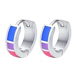 Nanafast Stainless Steel Bisexual Hoop Earrings LGBT Pride Earrings for Women Men Bisexual Pride Earrings LGBTQ Pride Jewelry Gifts-Bi