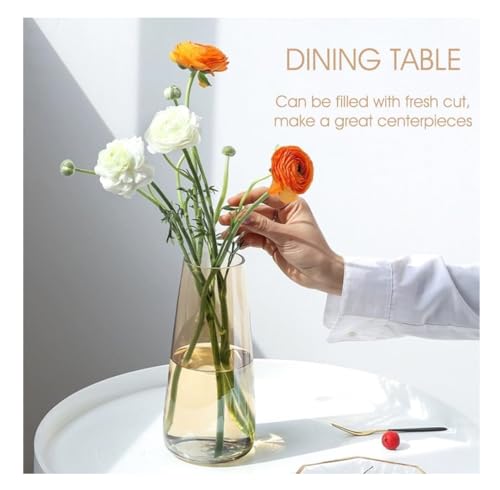 SPHINX Decorative Glass Vase for Flowers Plants Home Decor Office Living Table Decorations, Vases for Home Decor, Luster Glass Vase,Modern Glass Vase - (Crystal Amber, Approx 9 Inches Height) - Image 6