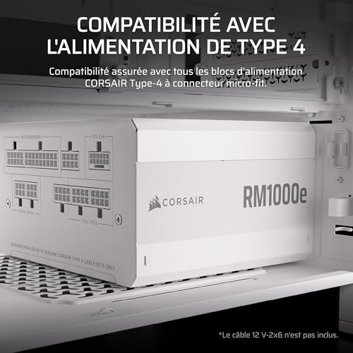 Kit de Démarrage Câbles PSU Corsair Type 4 Elite Premium Blanc avec Peignes Profil Bas - 4