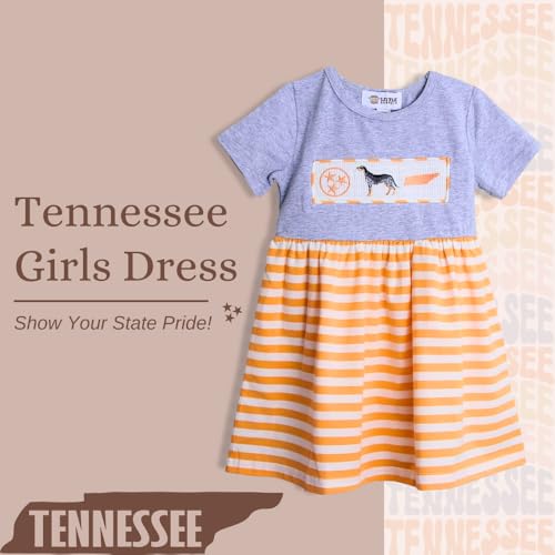 Tennessee Girls Kids Dress State Football Bluetick Coonhound Toddler Youth Apparel4