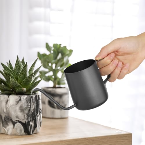 Small Watering Can Indoor Plants - 12 oz Mini Metal Watering Can with Long Spout Rust-Proof...