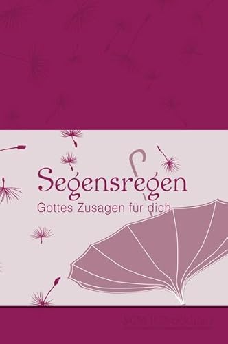 Preisvergleich Produktbild Segensregen: Gottes Zusagen für dich