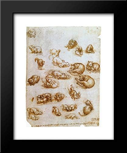 ArtDirect Study Sheet With Cats, Dragon And Other Animals 15x18 Framed Art Print by Leonardo da Vinci