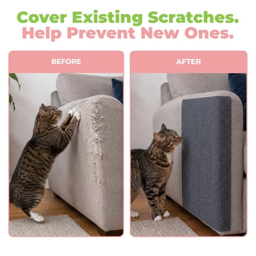 Image of Best Pet Supplies Catify Cat Scratcher, Fun Interactive Scratchers, Posts, Poles, Claw Safe, Furniture Saver Indoor Play Support Natural Cat Behaviors Heavy Duty - Gray Mat - L: 78 inch