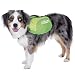 Daypak Dog Backpack Hiking Gear For Dogs by Outward Hound, Medium, Green