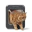 Cat Flap - Grey