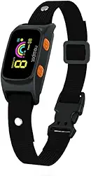 Coleira Impermeável Recarregável para Treinamento de Cães de Pequeno, Médio e Grande Porte