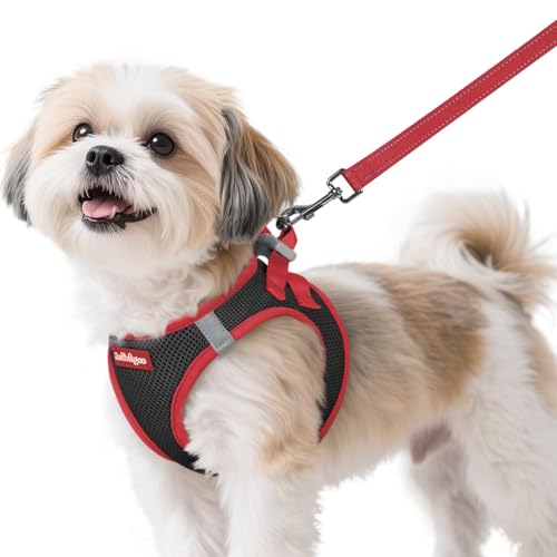 rabbitgoo Dog Harness Small Sized and Leash Set, Step in Soft Vest | Breathable Mesh, Easy Wear with Hook & Loop, Light and Reflective for Walking, Multi-colored, Black & Red, S
