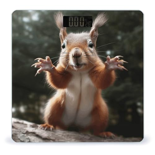 Báscula Digital de Baño con Diseño de Ardilla y Pantalla LCD miniatura 1