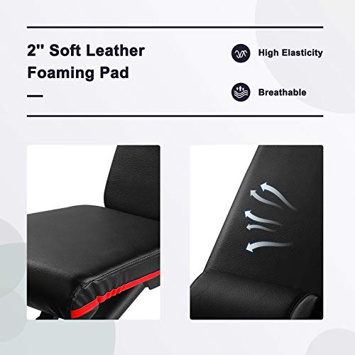 FBSPORT Weight Bench, Adjustable Strength Training Workout Bench , Bench Press for Home Gym Full Body Exercise, Incline Decline Weight Bench Foldable Workout Bench with Bands, Red