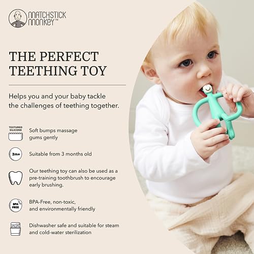 Matchstick Monkey - Scimmia Massaggiagengive Verde - 3