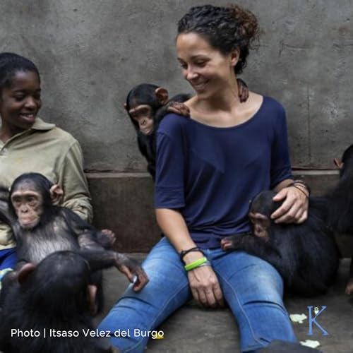 Encore: 23. A Second Chance: Saving Chimpanzees in DR Congo | A Conversation with Itsaso Velez del Burgo, Primatologist and Technical Director for Lwiro Primate Rehabilitation Center