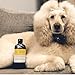 iGroom Banana Dog Shampoo, Luxury Pet Beauty Care, Nutrient-Rich Banana Extract, Nourish & Moisturize, Made in USA, 16 oz
