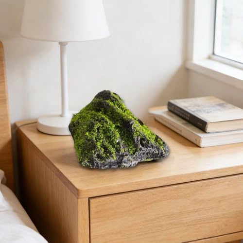 Pierres décoratives de qualité supérieure pour intérieur chic et terrarium