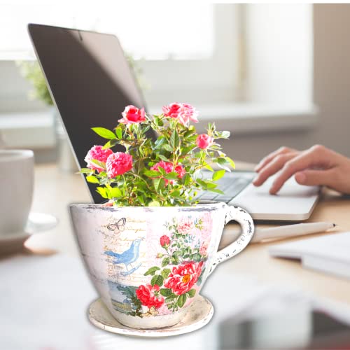 Macetas, Home Imagen adicional