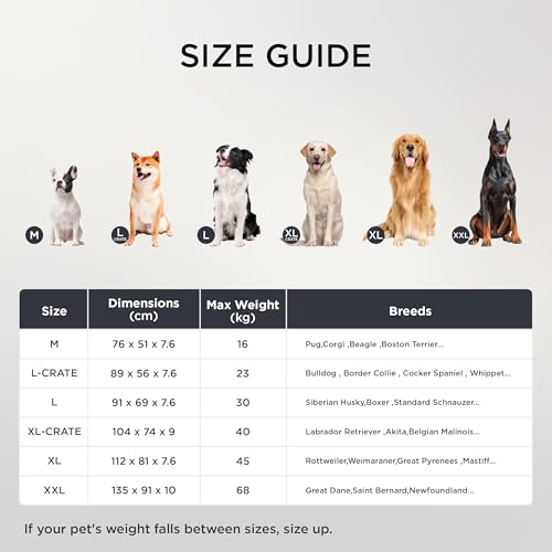 BEDSURE orthopädisches Hundebett Grosse Hunde - 112x81x7.6cm Hundekissen flauschig Hundematte waschbar Hundematratze in dunkelgrau für große Hunde