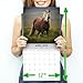 MegaCalendars - Horses Calendar 2025