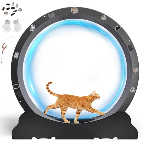 GTRACING Cat Wheels, 40" Diameter, Large Cat Exercise Wheel for Indoor Cats cat Treadmill Metal with Detachable Carpet & Teaser/Stickers, Ultra-Quiet Scroll Wheel with Latch, Safe, Black Ears-2 Style