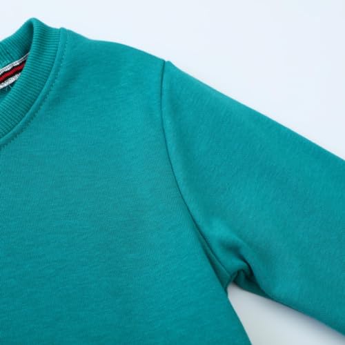 Hongshilian Little Girls Boys Cotton Sweatshirt Basic Crewneck Pullover Casual Clothing For Children3