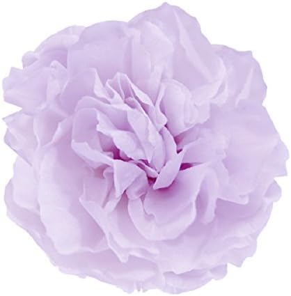 Verdisimo Mini Carnation, Fresh Green, 12 Wheels, Preserved Flowers