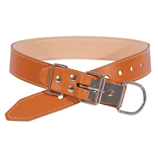 Coleira Em Couro Para Cão Porte Médio Luxo Caramelo Premium N.5 e N.6 (6, Caramelo)