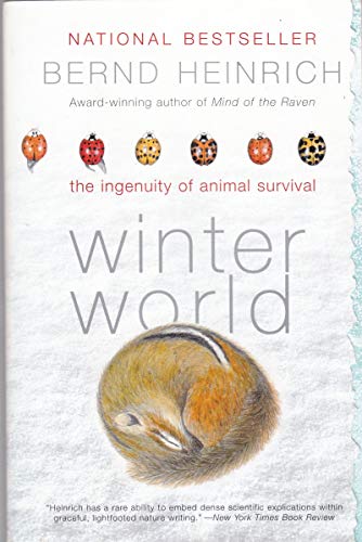 Winter World view 2