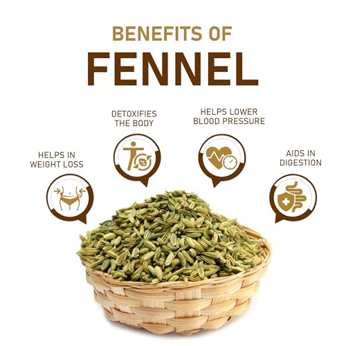 Image of NATURELAND ORGANICS Fresh Fennel (Saunf) 100 gm - Organic Saunf (Pack of 2)