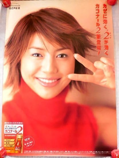 Amazon.co.jp: 俳優ポスター 井川遥 カコナール ポスター 縦長 1030