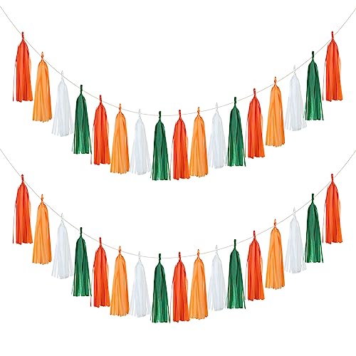 Image of Mefuny 20Pcs Little Cutie Baby Shower Party Tassel Garland Tissue Paper Tassels Banner DIY Kit Orange Green White Tassel Banner Tangerine Citrus Themed Party Decoration Supplies