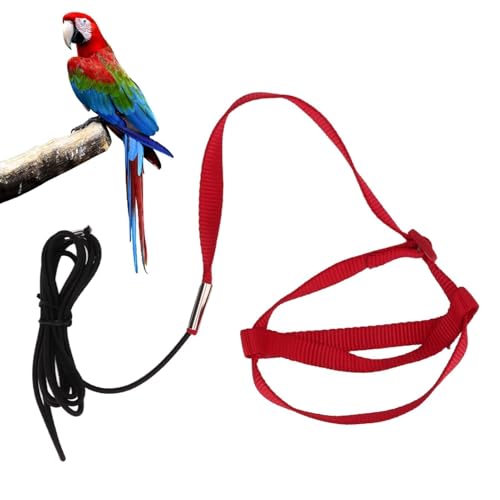 Adjustable Parrot Harness and Leash - Training Bird Supplies Anti-bite Outdoor Flying Rope for Parakeet Cockatiel (Chest 26-42cm, XS)
