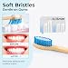 BlueForest Era Bamboo Toothbrushes, 10 Pack Plastic Free Toothbrush, Non Toxic Natural Organic Toothbrush, Medium & Soft Wooden Toothbrushes, Bamboo Non Plastic Tooth Brush, All Natural, Biodegradable