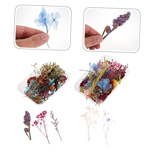 Flores secas mini para manualidades en caja miniatura 5