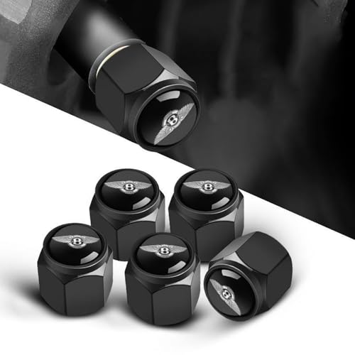 ԗp^CouLbv 5 xg[ R`l^ GT N[y, FȂ h ˂ݎ Cɖꂽ\ȃ_XgLbv,Black [sAi]