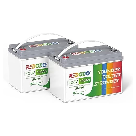 Redodo 2 Pack 12V 100Ah LiFePO4 Battery, Deep Cycle Battery with 100A BMS, Group 31 Lithium Battery with 10 Years Lifetime, 4000-15000 Cycles, Perfect for RV, Solar Home, Trolling Motor, Off Grid